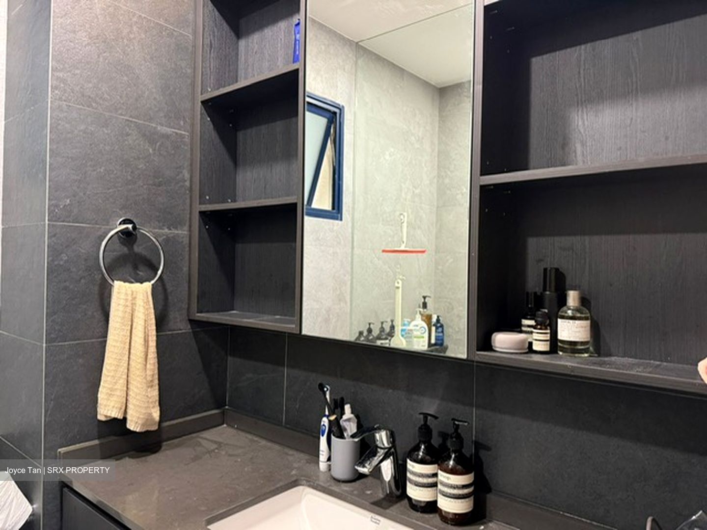 Nineteen Shelford Road (D11), Condominium #447063441